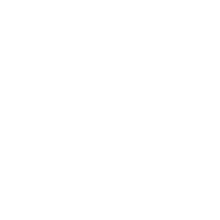 Baseball New Zealand logo