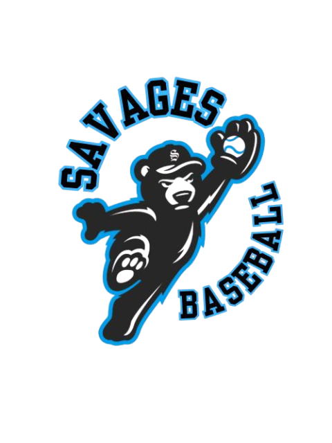 Div 2: Savages