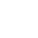 Baseball New Zealand