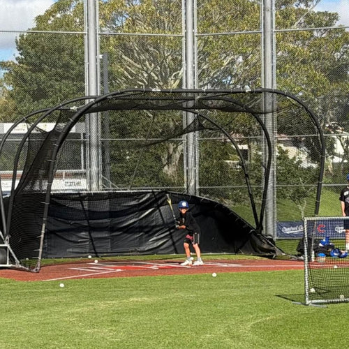 Batting Turtle